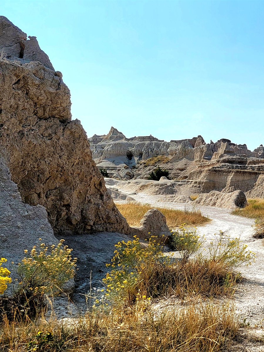 Elekat9557's tweet photo. Badlands National Park, a great addition to our road trip itinerary, Sept 2021. Landscape resembling another planet as far as one can see. Believe the warning to bring sunscreen and water. Hydrate and hike the Notch Trail.
#SouthDakota #NatureBeauty #naturelover #naturephoto https://t.co/62jzQyObEy