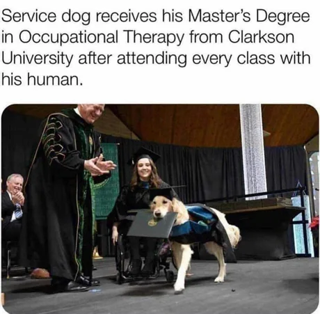 WholesomeMemes tweet media