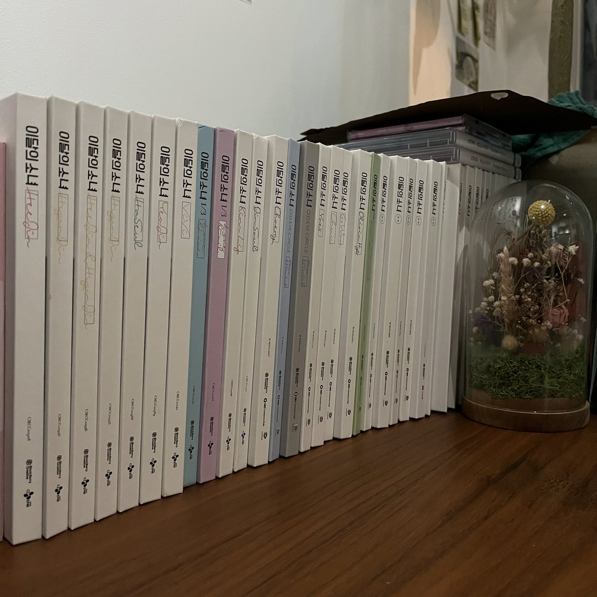 bugoclock's tweet photo. due to my dad passing away a week ago i'll be selling my loona collection and accepting donations to afford everything that'll be happening. i'm selling most of my albums + hyunjin photocard collection please see below ⬇️ in thread for more info, rts appreciated! https://t.co/GRHq91c4zV