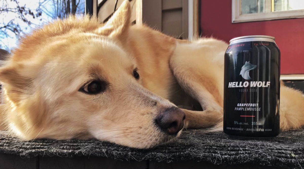 Hello Wolf Vodka Soda tweet media