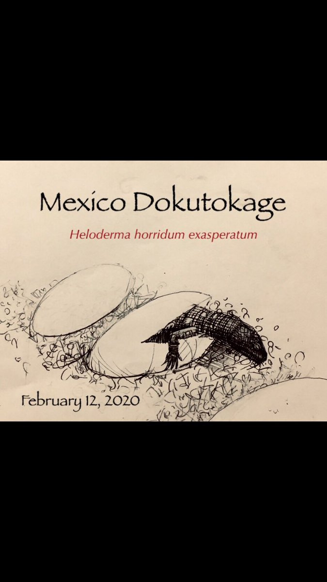 過去作品 2020年制作
メキシコドクトカゲ
あるブリーダー様のメキシコドクトカゲ初繁殖の記念すべき瞬間を描かせていただきました。 