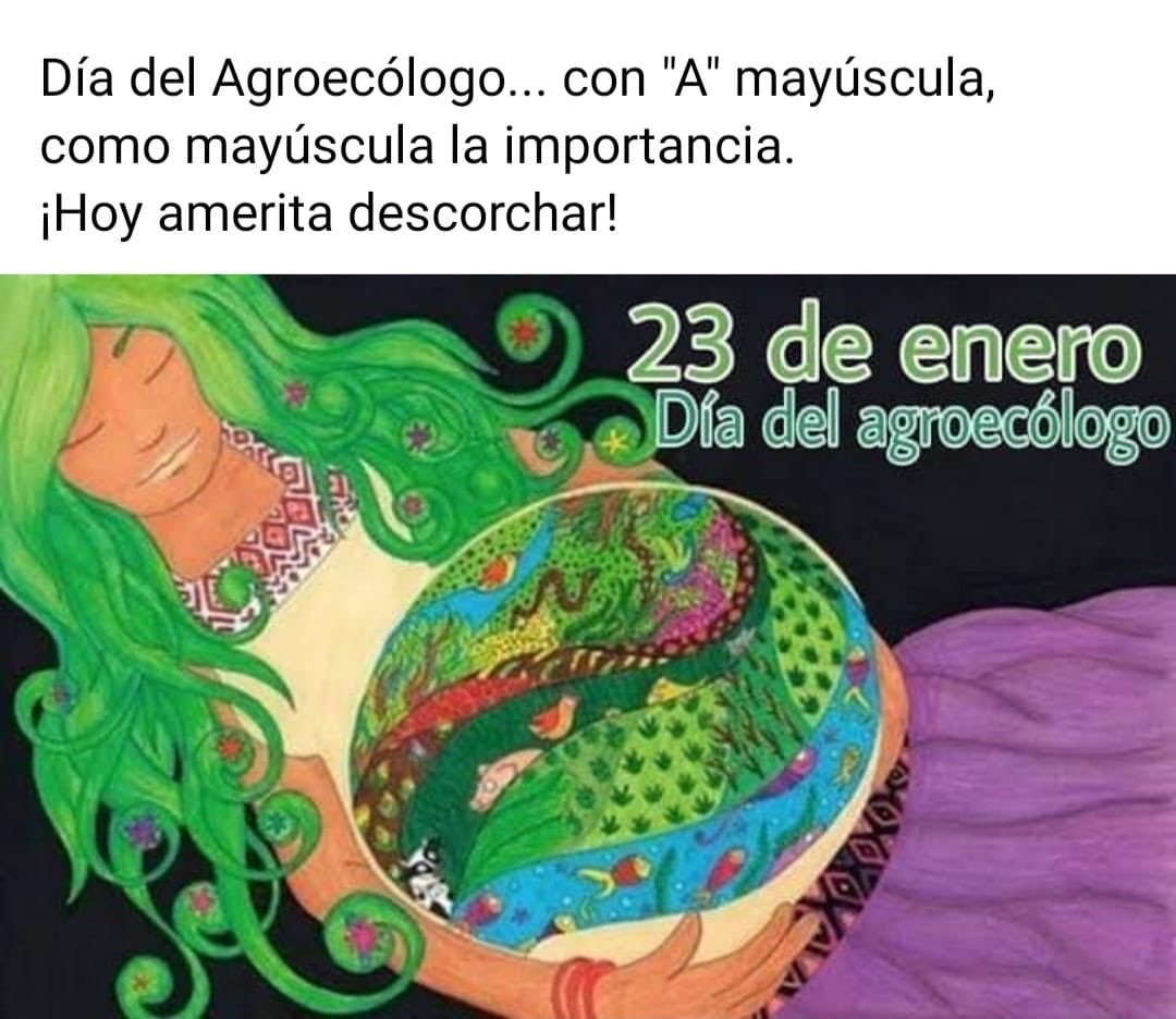 La transformación del sistema agroalimentario y nutricional que impulsa la 4T tiene en la agroecología uno de sus pilares principales. Felicidades a las y los agroecólogos en su día!