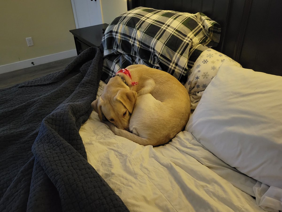 ChrisJSomma's tweet image. 