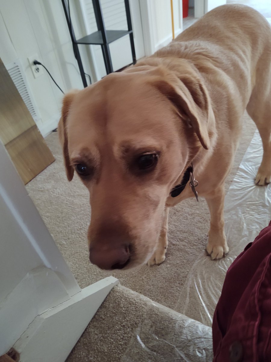 Andy Killen tweet media