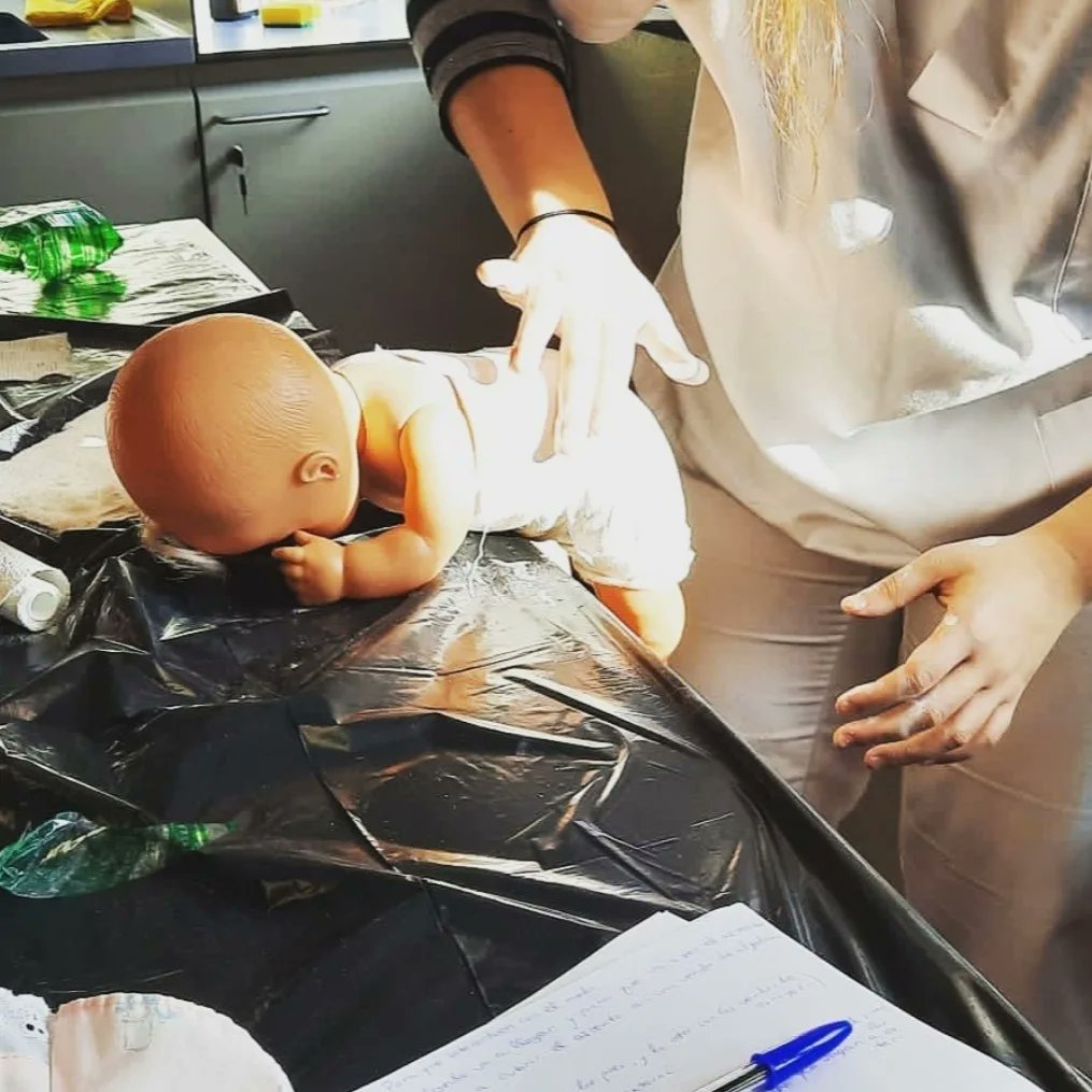 Asociación Alma (@alma_asoc) on Twitter photo 