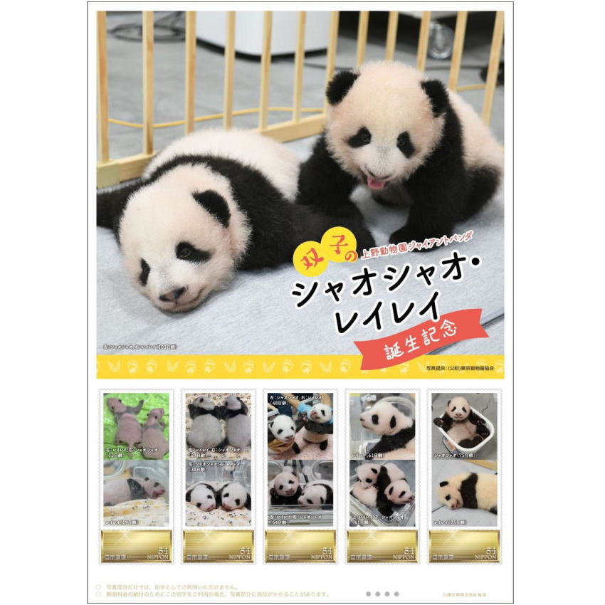 メカニカル レア 上野動物園パンダシャンシャン、シャオシャオ