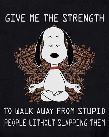 Raven (@ravenmo19117813) on Twitter photo 