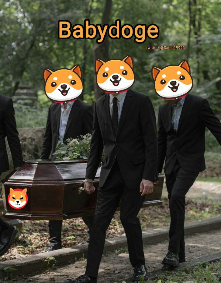 BabyDogeiranR tweet picture