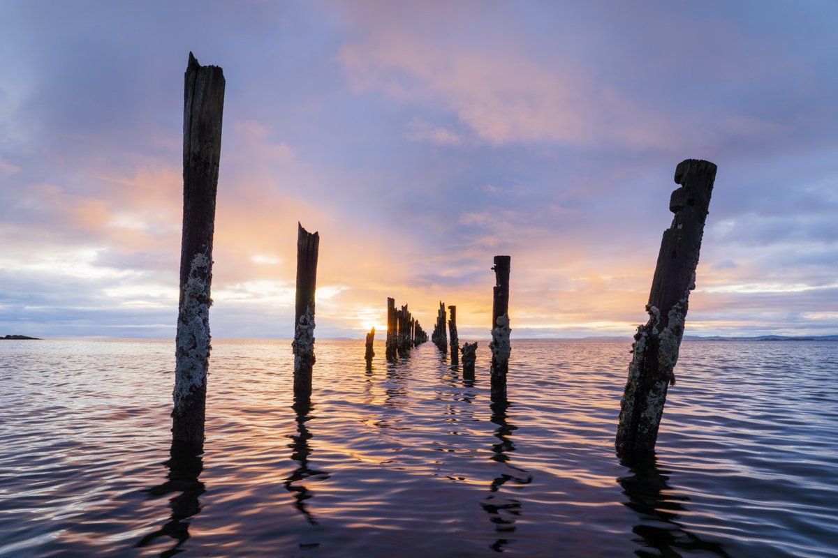 Welcome to northern Tasmania!

Here you'll find the Bridport Walking Track, a spectacular showcase of natural foreshore, beaches, wildflowers, forest and river landscape. 

And, as you can tell by <a href="/LukeTscharke/">Luke Tscharke</a>'s image, a great place for landscape photography 📷🎨