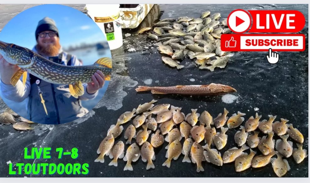 Going live at 7 on YouTube #LToutdoors