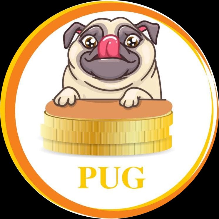 Crypto_Pay_'s tweet photo. 🔴🔴ایردراپ Pug Doge🔴🔴
پاداش👈24,000,000
قیمت👈75 سنت BNB
سود بالای 100 میلیون تومان
پیشنهاد خرید👈0.1 تا 1 BNB
لینک خرید👇👇
https://t.co/0EkAtIWlJc
کنتراکت آدرس:
0xc83dba28a1f3860327a1170880013276ccc6b4bb

شبکه👈اسمارت چین https://t.co/Gv4ClPnpbH