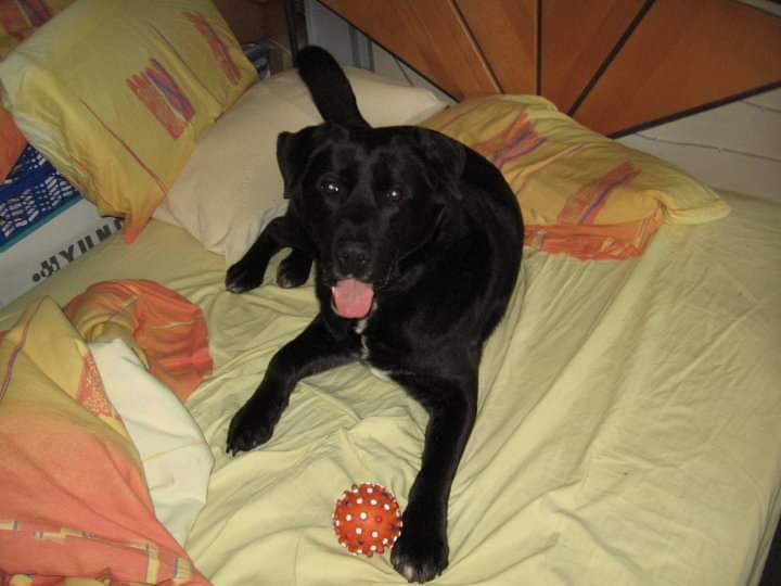 Sebastjan Kompare tweet media