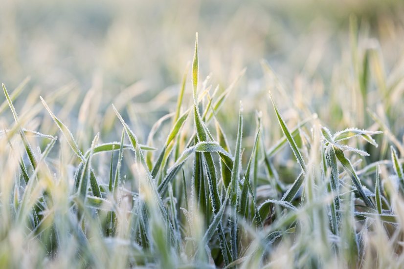 HazelScienceNut's tweet photo. Jarrod Hunter is one of the students who has been working @CSIRO this summer investigating the impact of employing gridded #weatherdata to describe #climaticextremes (e.g. frost). This provides insight into best future #agriculture management practices #studentsymposium @BOM_au https://t.co/dxX6p6b5E7