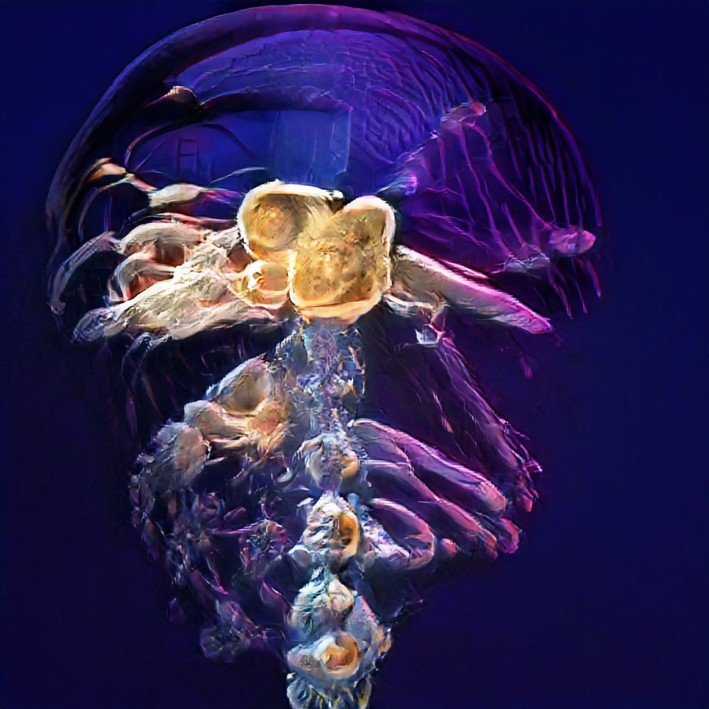 DeepOpensea Creatures tweet media