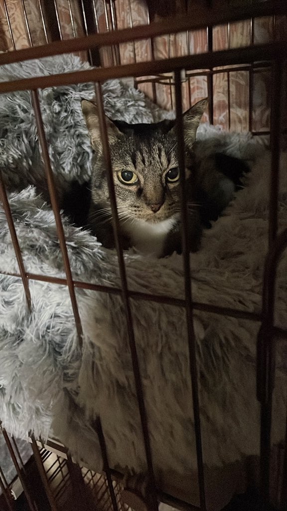 kousukesocce's tweet photo. 新しい子友達から預かったから大事にする https://t.co/0Gw5pDTEDa