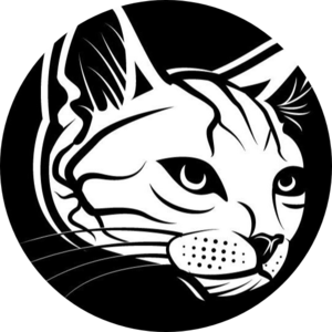 Coin Forest Official tweet media