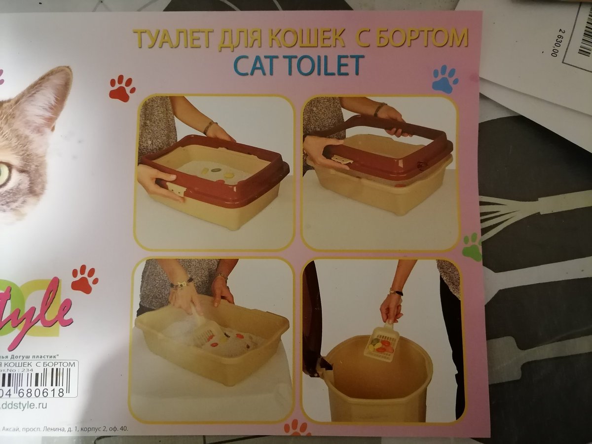 Ребята, такое дело, у меня кошка без борта. Кто-нибудь сталкивался? Это к ветеринару?