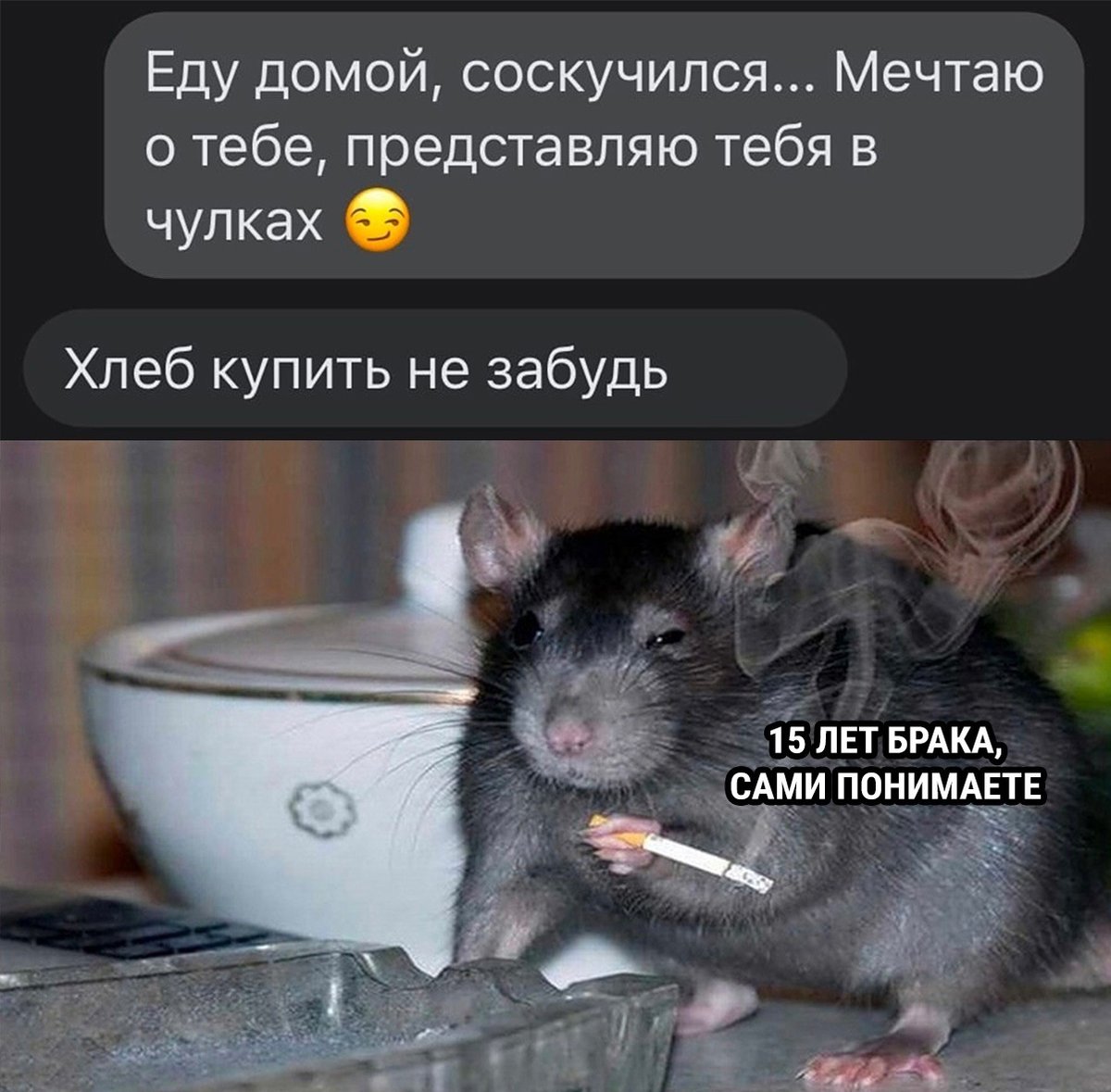 DibHumor's tweet photo. https://t.co/e47AiFRAkl