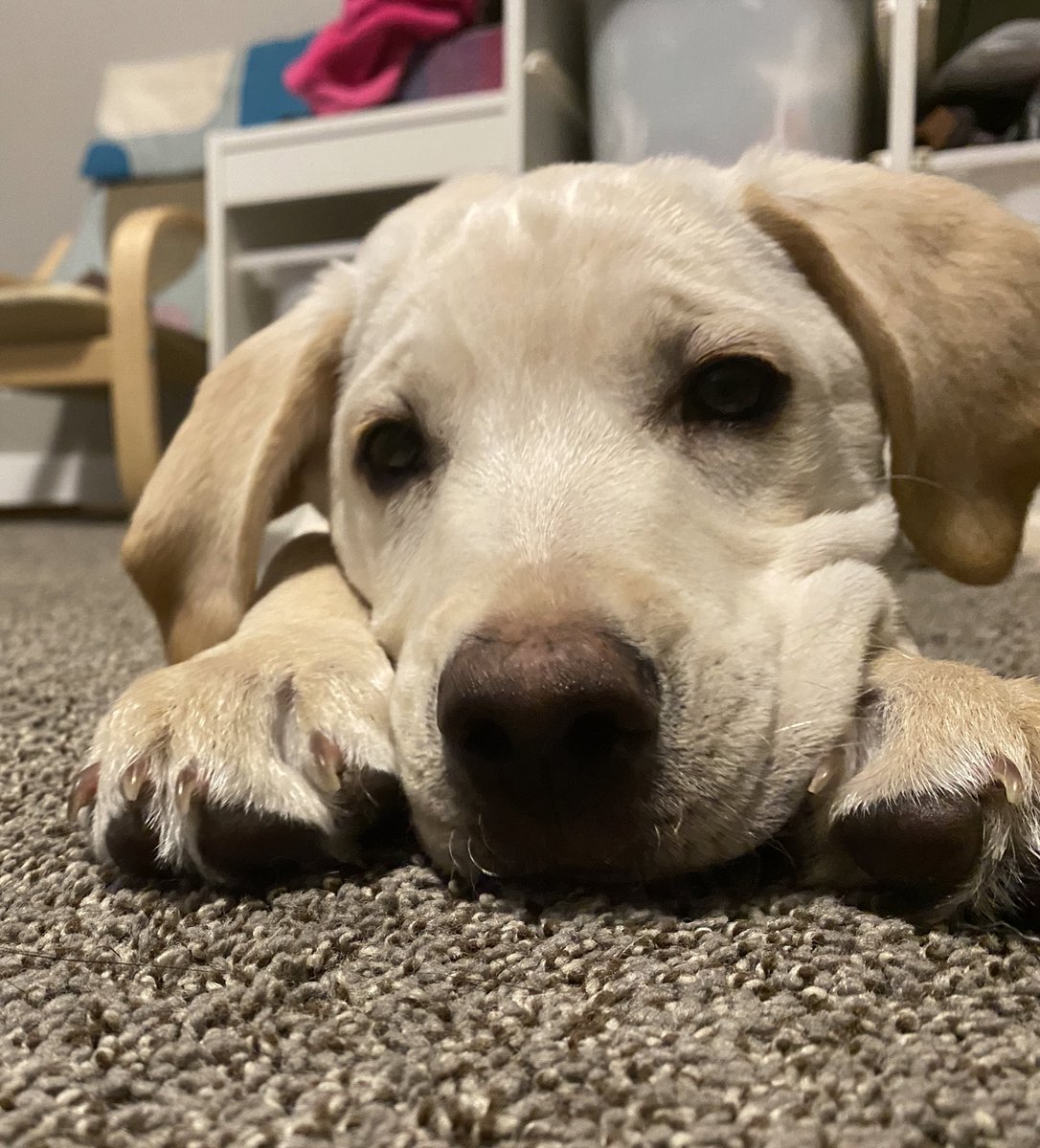 As we head into a new week. A friendly adorable reminder to be kind. Take care of one another and be grateful for all the amazing people who are working tirelessly to keep our community safe.