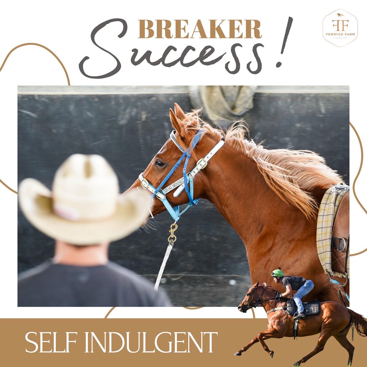 What a dream weekend for the team at Dream Thoroughbreds! 💖
On Saturday Self Indulgent stepped out at Doomben for <a href="/tonygollan/">Gollan Racing</a> and on Sunday Soothsayer stepped out at <a href="/SCTurfClub/">SCTurfClub</a> for <a href="/freedman_lee/">Lee Freedman</a> 
Congratulations  to the owners and connections of both FF Breaker Graduates! 🤩