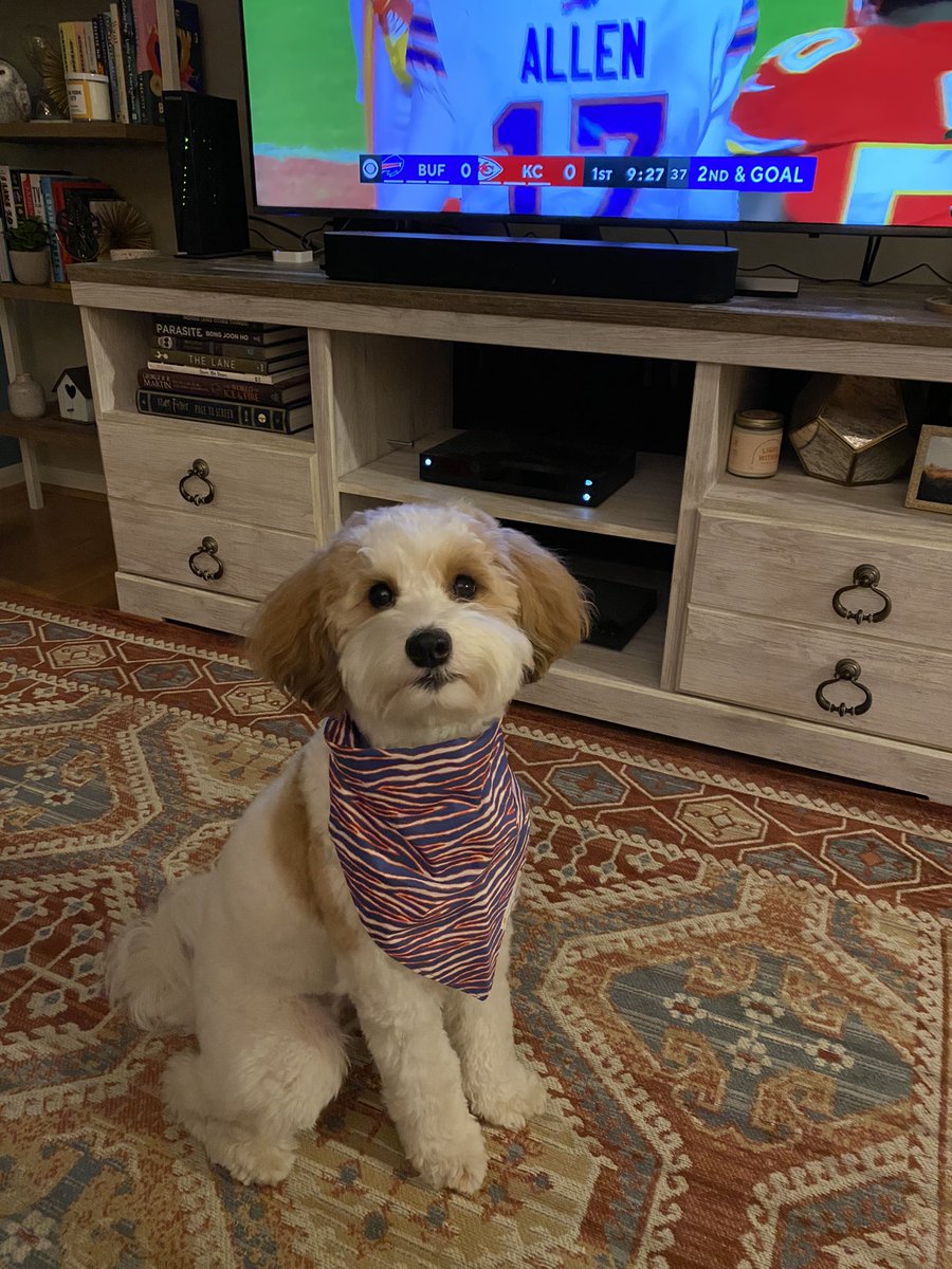 rbarnes08's tweet photo. @news10nbc Waverly says Let’s Go Buffalo! https://t.co/FapZFBCTog