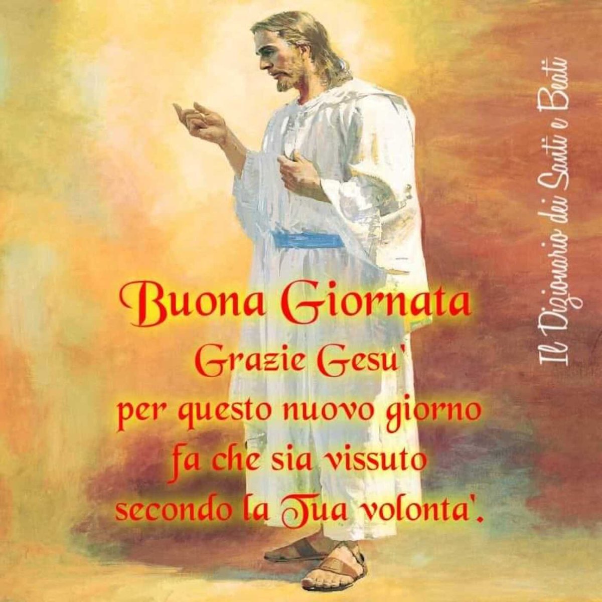 La bocca del giusto medita sapienza e la sua lingua esprime #verità; la legge del suo #Dio è nel suo cuore (T.P. Alleluia)🌺🕊️(Cf. Sal 36, 30-31)