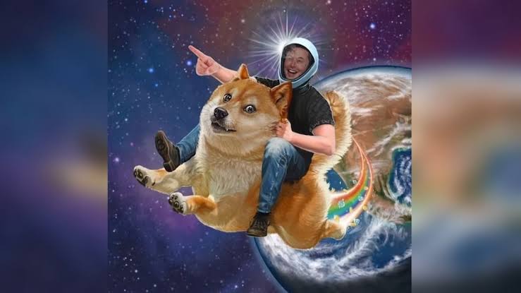 TeslaDogeArmy's tweet photo. Buy $TESLADOGE 1BNB in presale today, then see the magic of the #crypto Will bring you to the moon. Check the pinned Tweet to get $1.000.000 #TESLADOGE for 10 wallet.
#NFT #Giveaway https://t.co/8E3WmHGD37