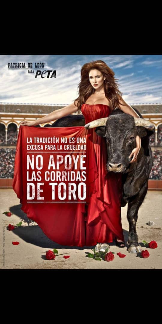 Funasissi (@funasissi) on Twitter photo 