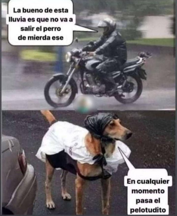 Me cruzo con esta imagen todos los días y todos los días me hace reír. Esta historieta es mejor que toda la carrera de Nik.