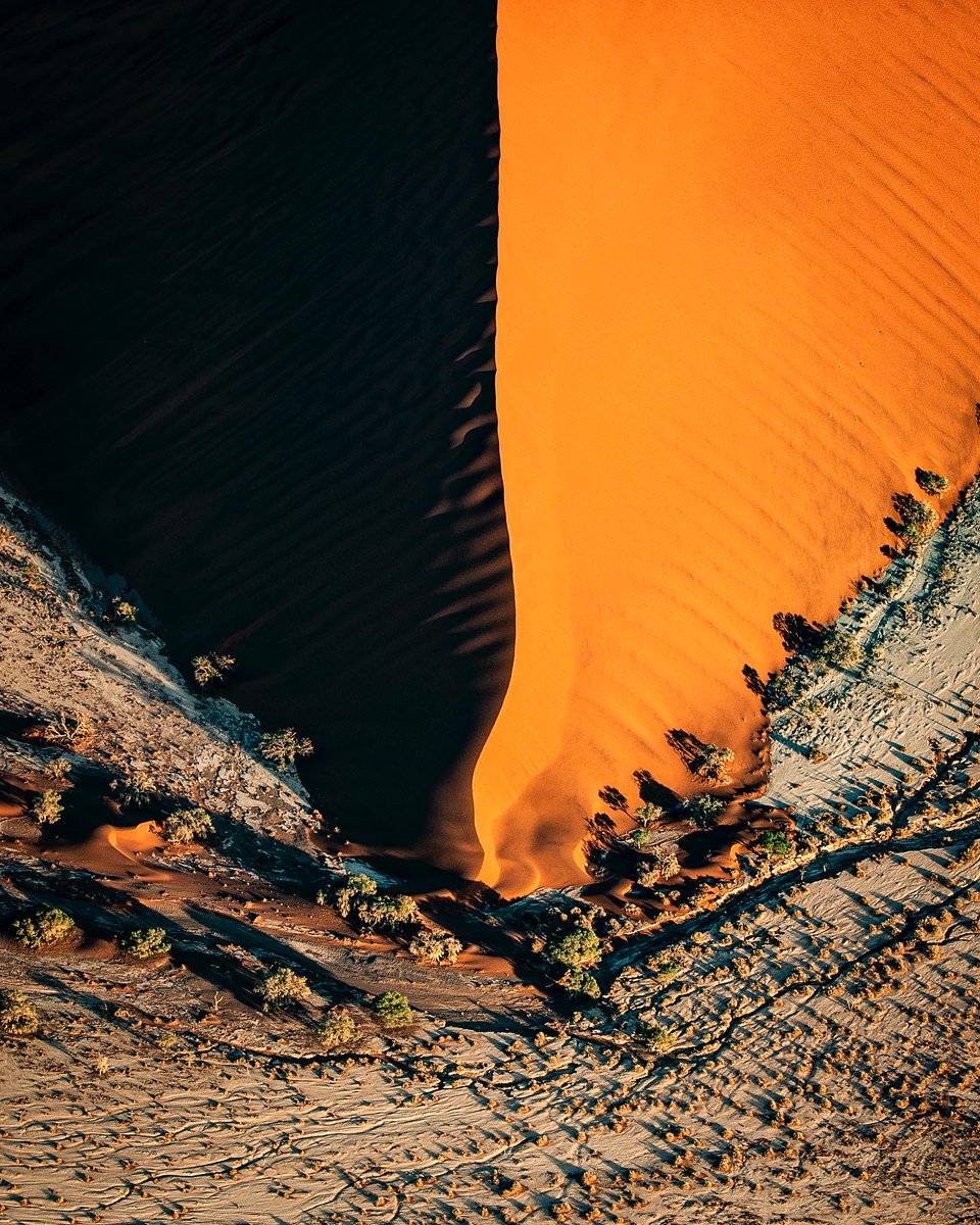 📍: Sossusvlei, Namibia

📸+💭: IG // hshphotos

The ethereal contrasts between light and shadow as the first rays of dawn illuminate the towering sand dunes of the Namib Desert. 

Photographed from a doors-off helicopter flight above Sossusvlei, Namibia. 

#POTD #photooftheday