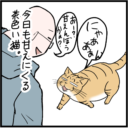 ミュウくん!甘えてきたと思ったら!!w
 #ニャンコ #まんが #猫 #猫あるある #猫漫画 #ペット #飼い主 #エッセイ漫画 #キャット #ねこのいる生活 #4コマ 