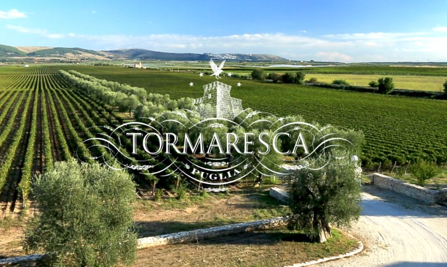 CafeVeloce's tweet image. #MondayNightWineFlights 🍷
Ft. Tormaresca Italian Wines

Mon Night, Jan 24th:
Try All 3 Wines in a Flight for $8!

#Chardonnay 2019
#Torcicoda 2015
#Nèprica 2018

cafeveloce.com/event/monday-j…

(425) 814-2972

#CafeVeloce #ItalianWines #TormarescaWines #WineNight #SeattleWineDeals