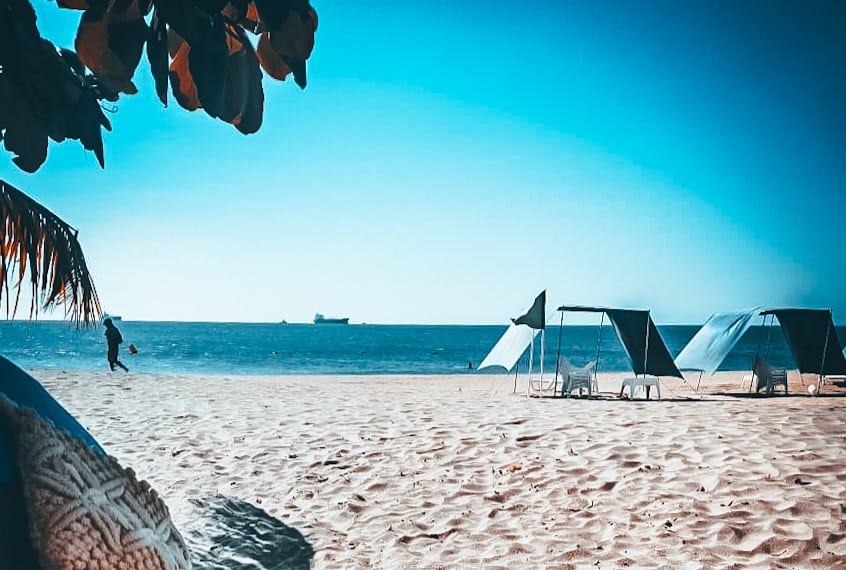 ValenKim8's tweet photo. Peace 🌴🏝🌴 https://t.co/tWw5JQSFHo