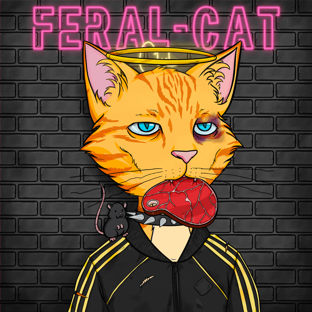 stxmpish's tweet photo. Feral Cat Club https://t.co/avMKAjqghz
the first 250 whitelist spots have opened up!

https://t.co/u4W6IQZk3l use the google form to sign up!

To be eligible you must;

Retweet this tweet!
Be in the discord!

https://t.co/ryiu9pYJ3W

There are prizes/NFTs to be won! https://t.co/6XOfR3UOAh