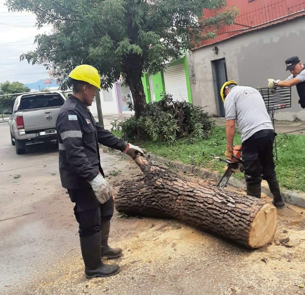 jaltamira23's tweet photo. •Amplio operativo de la #MunicipalidadDeSalta por las #precipitaciones registradas y #brindando asistencia a los vecinos que se #comunicaron al #105.
•El mayor número de #incidentes, se detectaron en zona sur y zona oeste, con caída de árboles, postes y cables #sueltos. https://t.co/KCr6c8OxNu