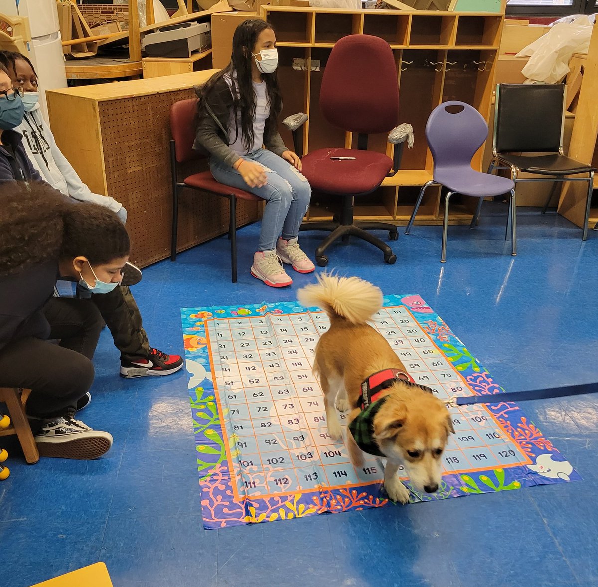 HeyBccs's tweet image. Numbers are FUNdamental! What a fun way for our students (and Chester) to learn about partial products! At BCCS, we believe in making learning fun and meaningful. @ExecSuptKWatts @D16SuptYMartin @FabayoMcintosh @BKNorthNYCDOE @NequanMclean #welovebccs