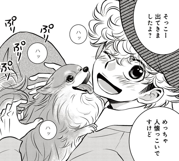 ドッグシグナル DOG SIGNAL コミック 1-12巻セット | みやうち沙
