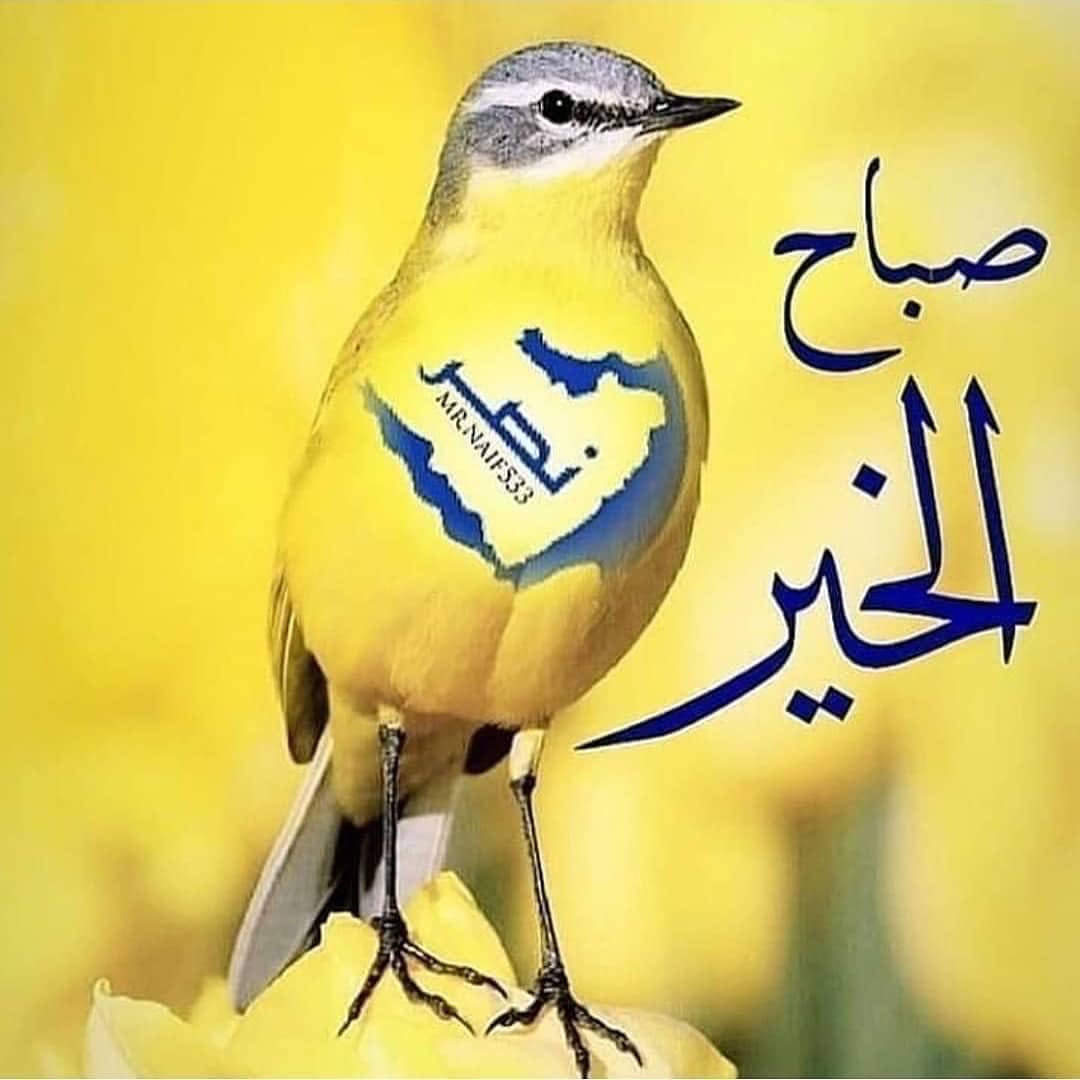 ابو نايف tweet media