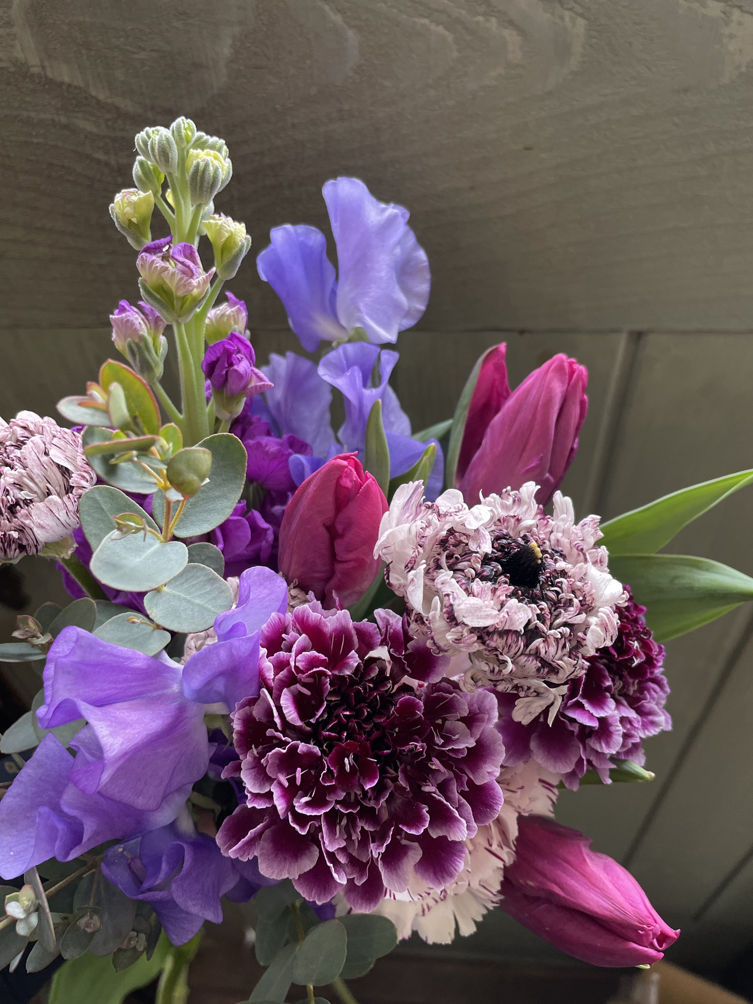 Flower Work Akkord お日さまが出てないだけで寒さが倍増な今日ですが 春の花たちと共にお待ちしております ラナンキュラスのモロッコ入りましたっ ラナンキュラス 花 花屋 沼津 沼津花屋 花のある暮らし T Co A6ib6s6ny2 Twitter