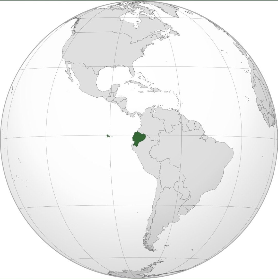 Países del mundo en los que las autoridades no saben cómo combatir la delincuencia y se encomiendan a los #Avengers.