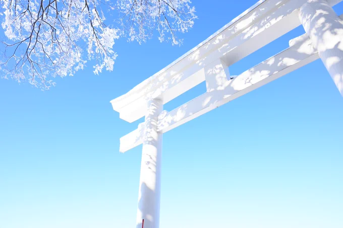 真っ白な鳥居と雪景色 