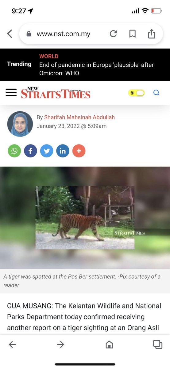mdp07vm's tweet photo. @NST_Online This tiger seen in this 2019 video https://t.co/LAU1THirDX bears uncanny resemblance to the tiger reported in your news article on Sunday, Jan 22nd. Is this a coincidence? Or is your news made up? https://t.co/WyEM11tqni