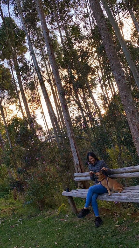 jimenajt's tweet photo. En el bosque🦋 https://t.co/bKDJ7U5Dzd