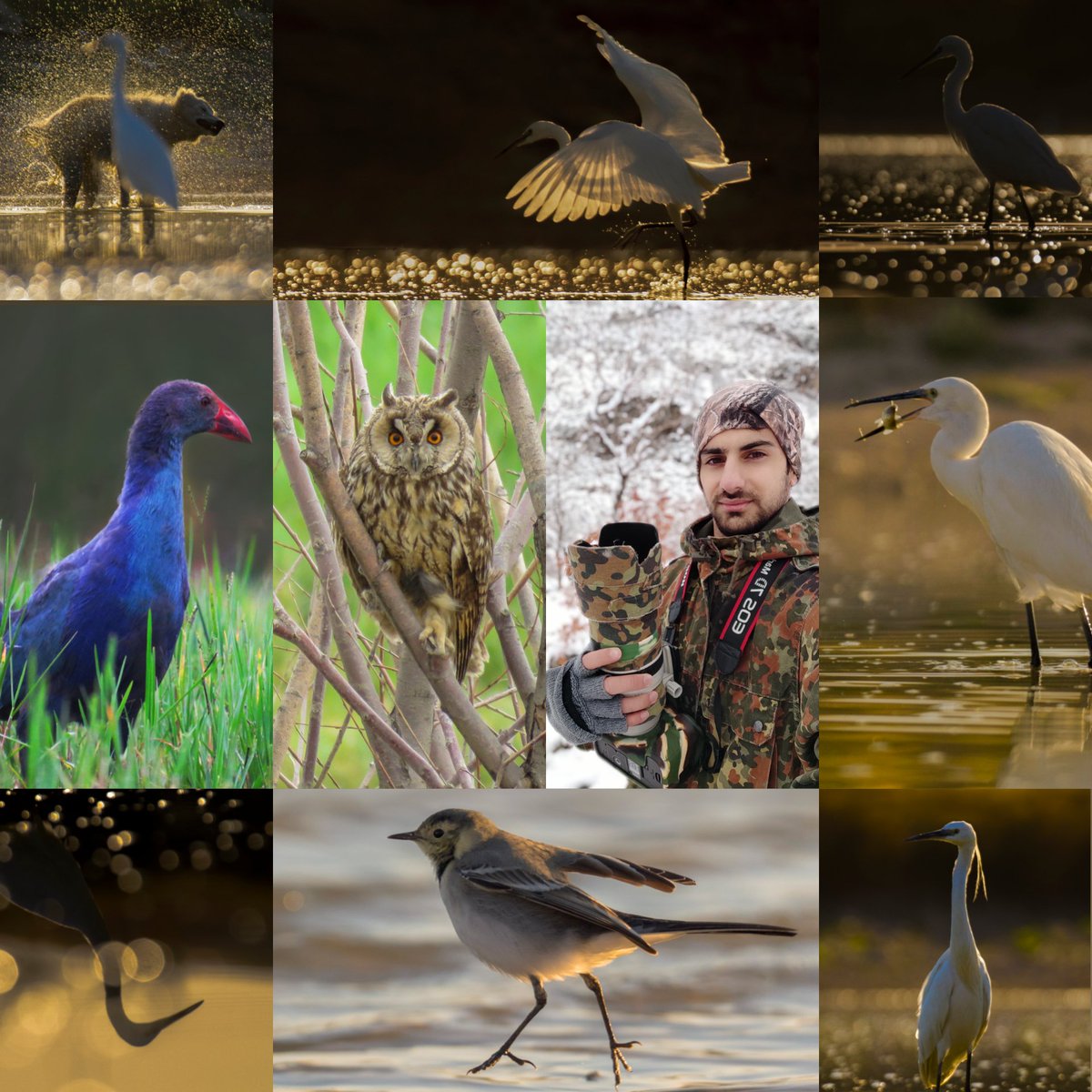 javad_rostami_a's tweet photo. 🚨Available on 
@OpenSea

🚨#9📸 1/1 wildlife photography

🚨0.15 ETH

https://t.co/WM1CvRW5l1

#nftphotography 
#NFTCommumity 
#nftcollector https://t.co/87kQNm6pHZ