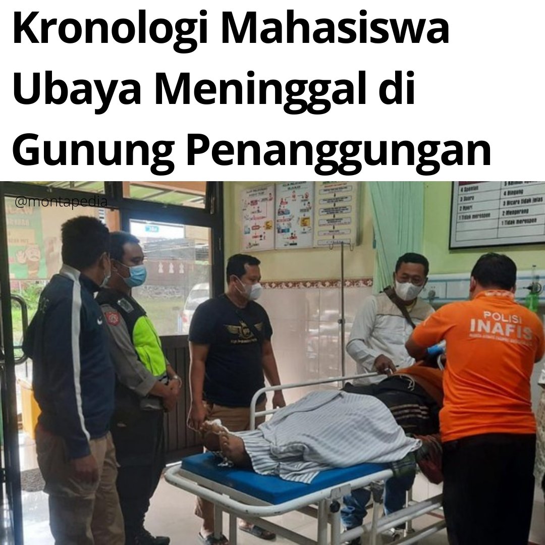 Montapedia tweet media