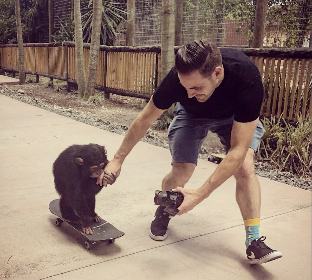ifskateco's tweet photo. I don't own a #bayc or #mayc #nft but i have made a custom handpainted skateboard for a chimp, flew to miami to deliver it to bro and skated with the lil homie. Is that ape enough? SHIEEET🤣🐒🍌💯 https://t.co/r6wXizsix8