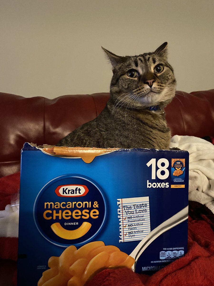 doNot distube , me time