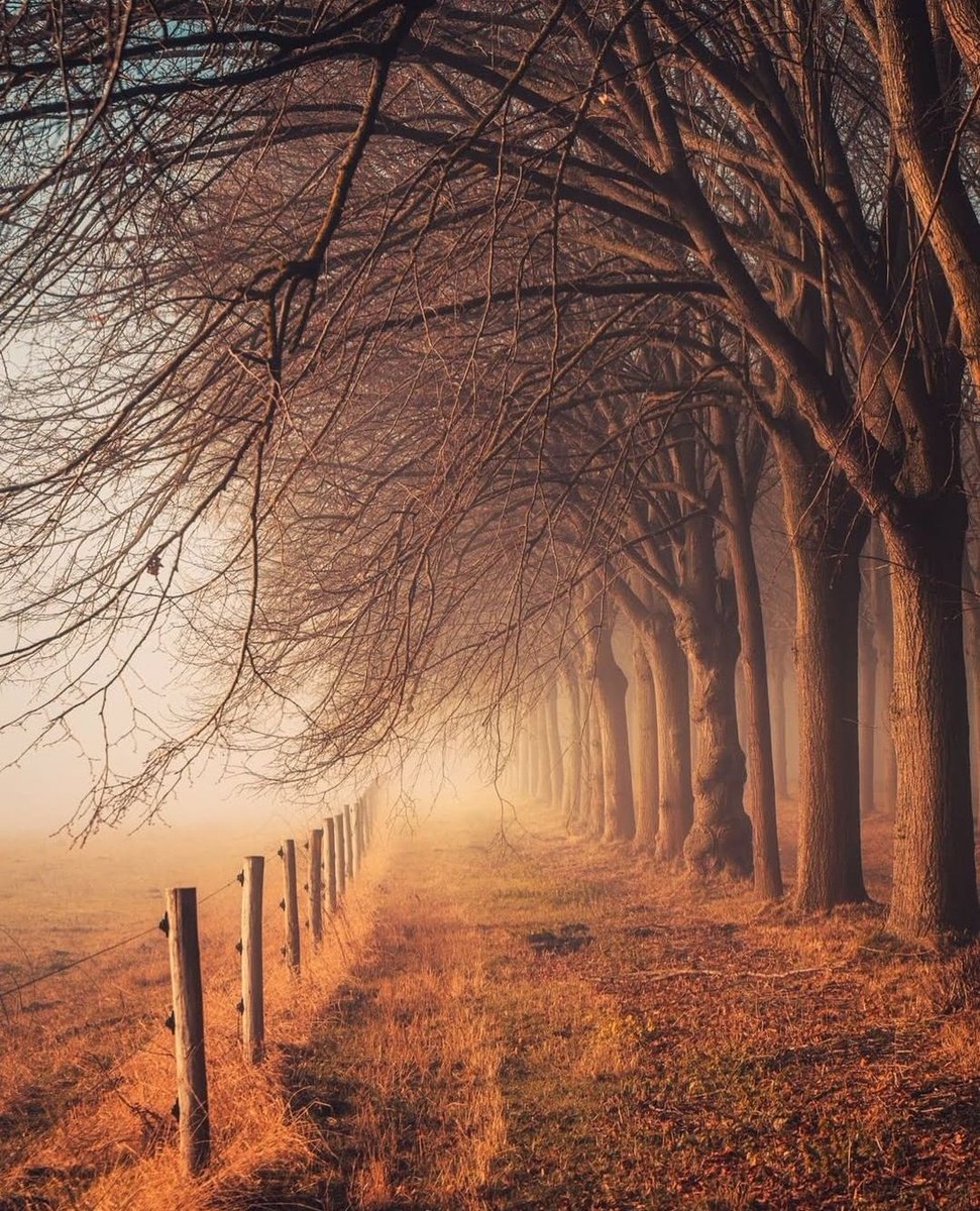 Love is a fire.
But whether it is going to warm your  heart or burn down your house,
you can never tell..💞