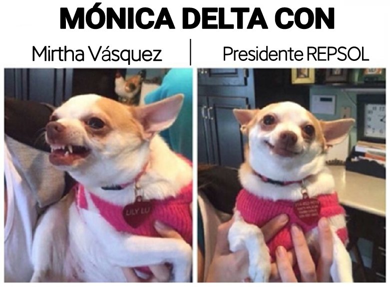 LaSalitadelSin's tweet photo. 🎯 

@MonicaDeltaP  @MirtyVas  @Repsol https://t.co/thECIa7bvR