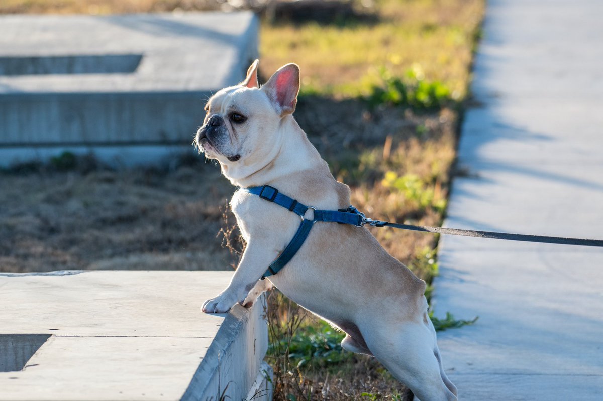 Manny (@mannywedges) on Twitter photo 